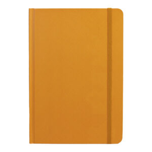 DMA-1069-Pioneer-Notebook-Apricot