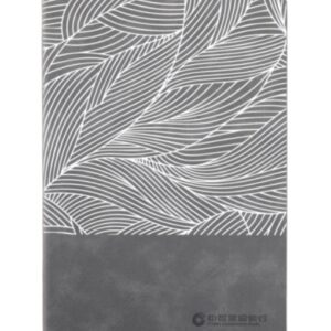 DMA-5002-grey